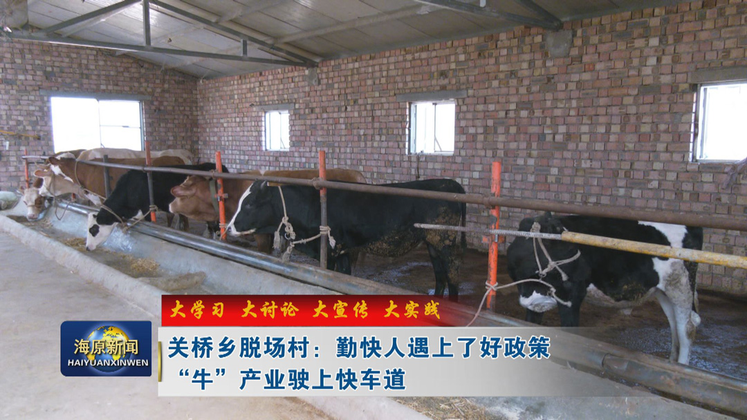 【大学习 大讨论 大宣传 大实践】关桥乡脱场村：勤快人遇上了好政策 “牛” 产业驶上快车道