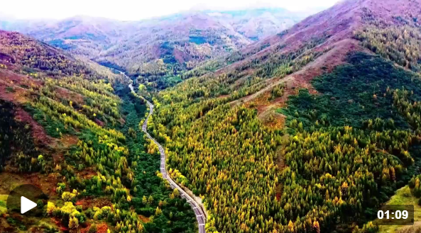 山河锦绣 壮美宁夏｜宁夏中卫南华山：徜徉林海间 赏绝美秋色