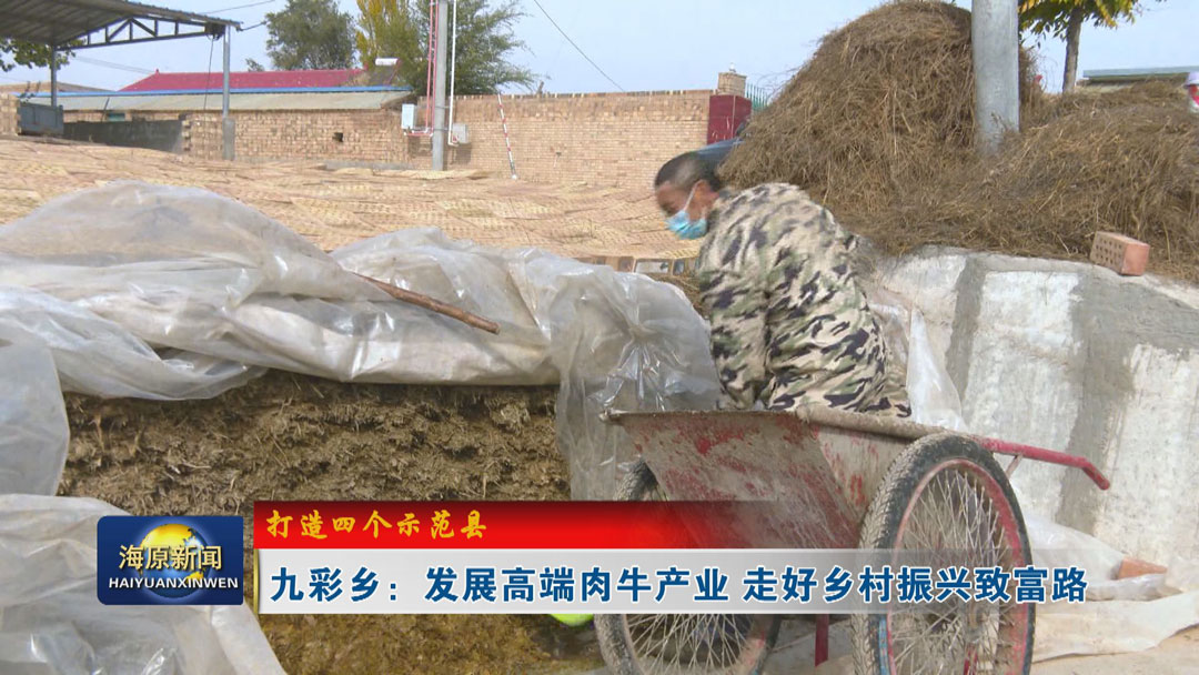 【打造四个示范县】九彩乡：发展高端肉牛产业 走好乡村振兴致富路