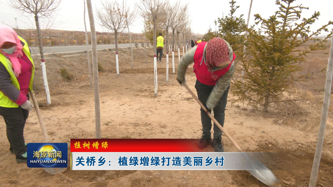 【植树增绿】关桥乡：植绿增绿打造美丽乡村