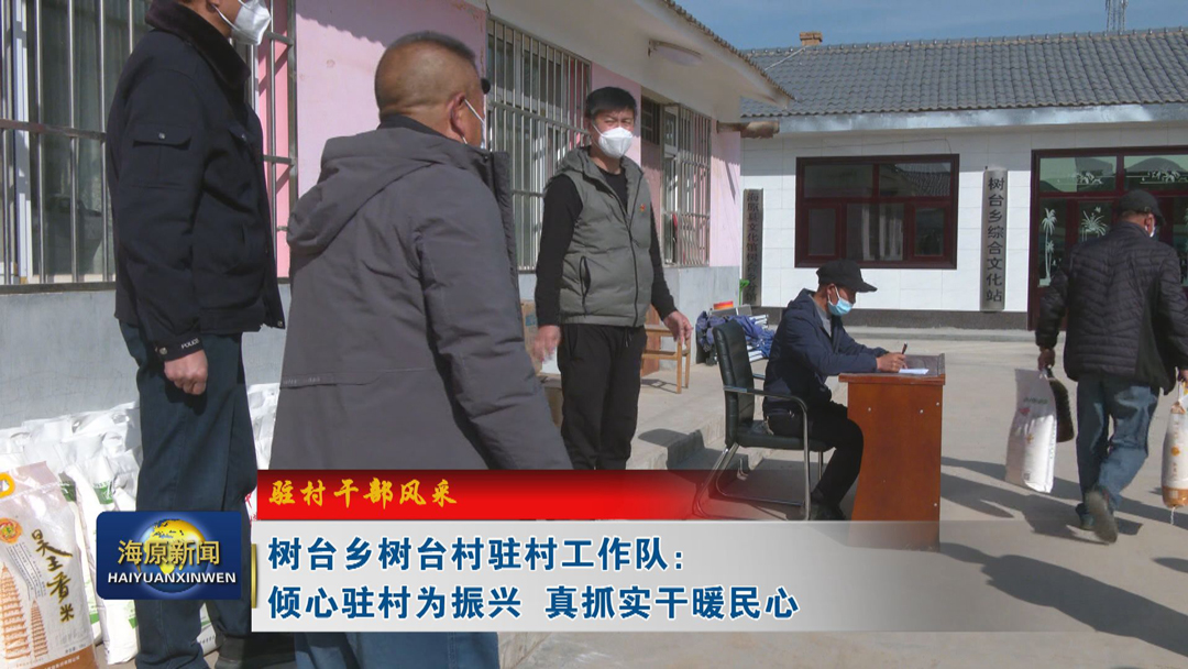 【驻村干部风采】树台乡树台村驻村工作队：倾心驻村为振兴 真抓实干暖民心
