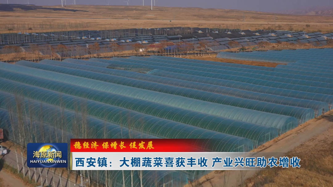 【稳经济 保增长 促发展】西安镇：大棚蔬菜喜获丰收 产业兴旺助农增收