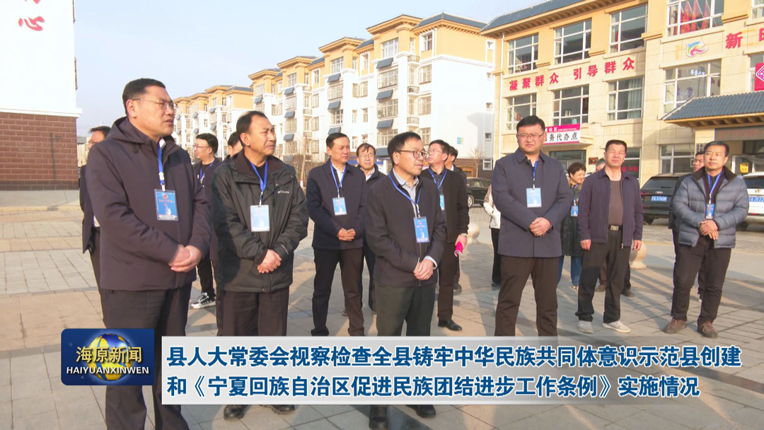 县人大常委会视察检查全县铸牢中华民族共同体意识示范县创建和《宁夏回族自治区促进民族团结进步工作条例》实施情况