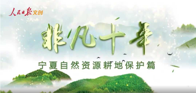 宁夏严守耕地保护“生命线”